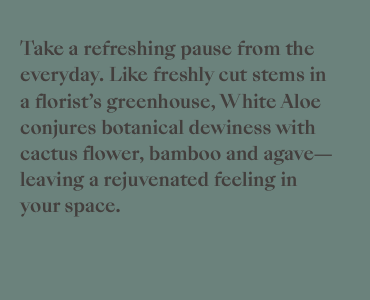 Screen Shot 2023-04-14 at 12.54.22 AM.png