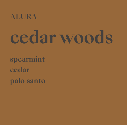 Screen Shot 2023-04-14 at 12.54.31 AM.png