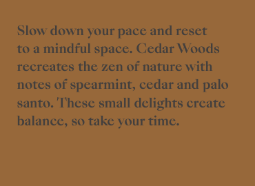 Screen Shot 2023-04-14 at 12.54.37 AM.png