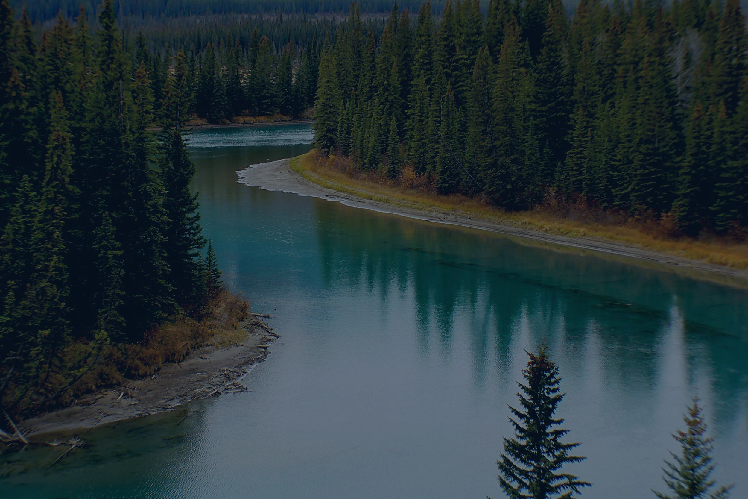 pexels-photo-3bve.jpg