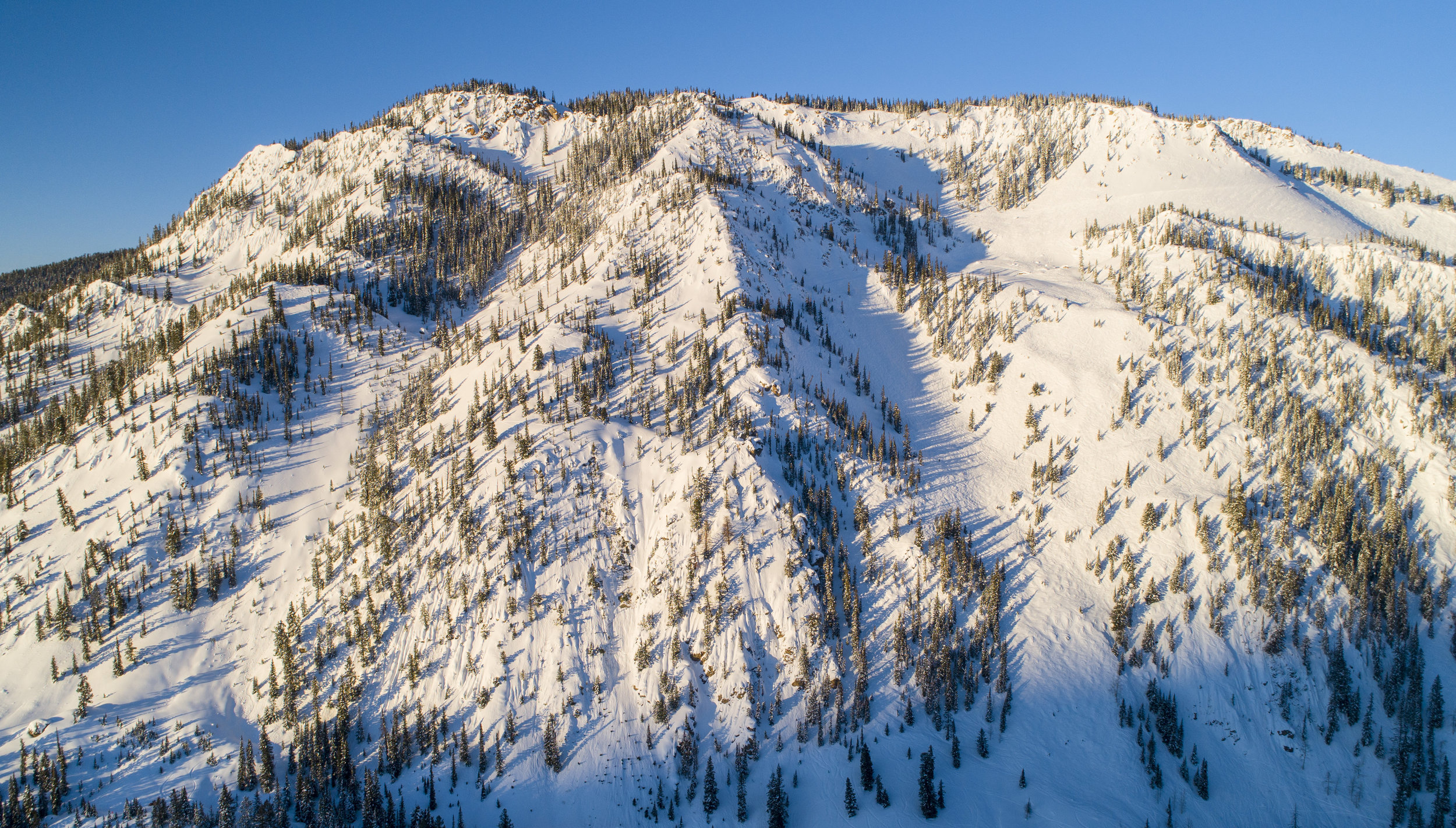 201903_ctb_bona_thirdbowl_001-0067.jpg