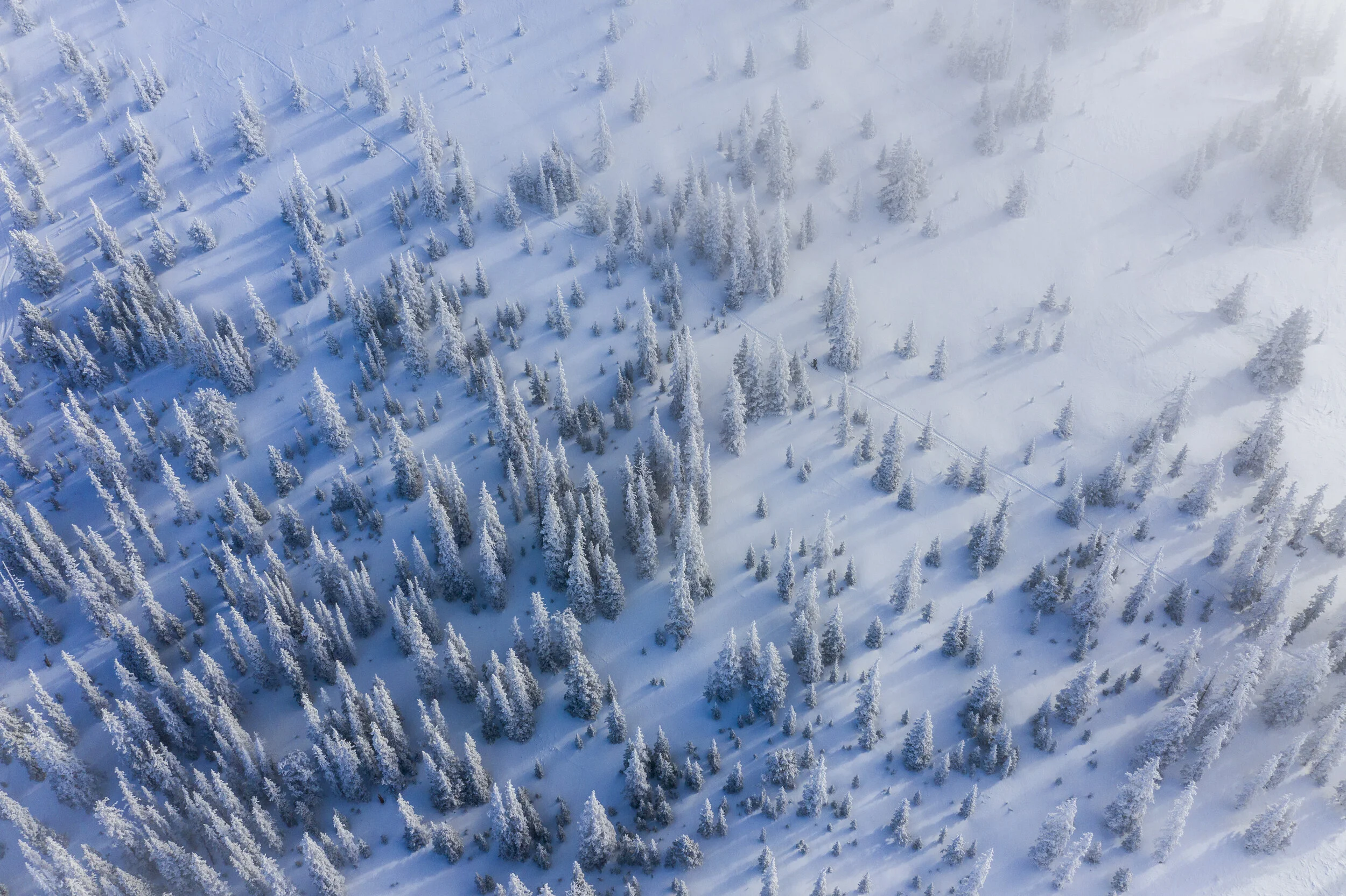 MonarchPass-6.jpg