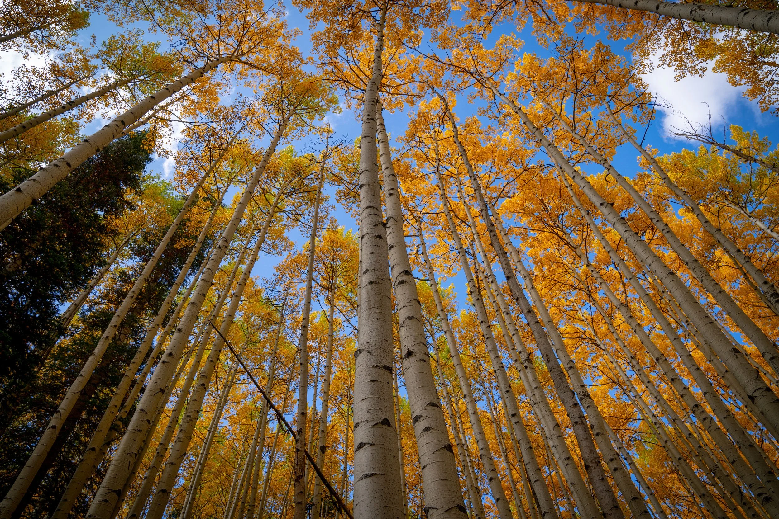 ETM Fall Update 2023-58.jpg