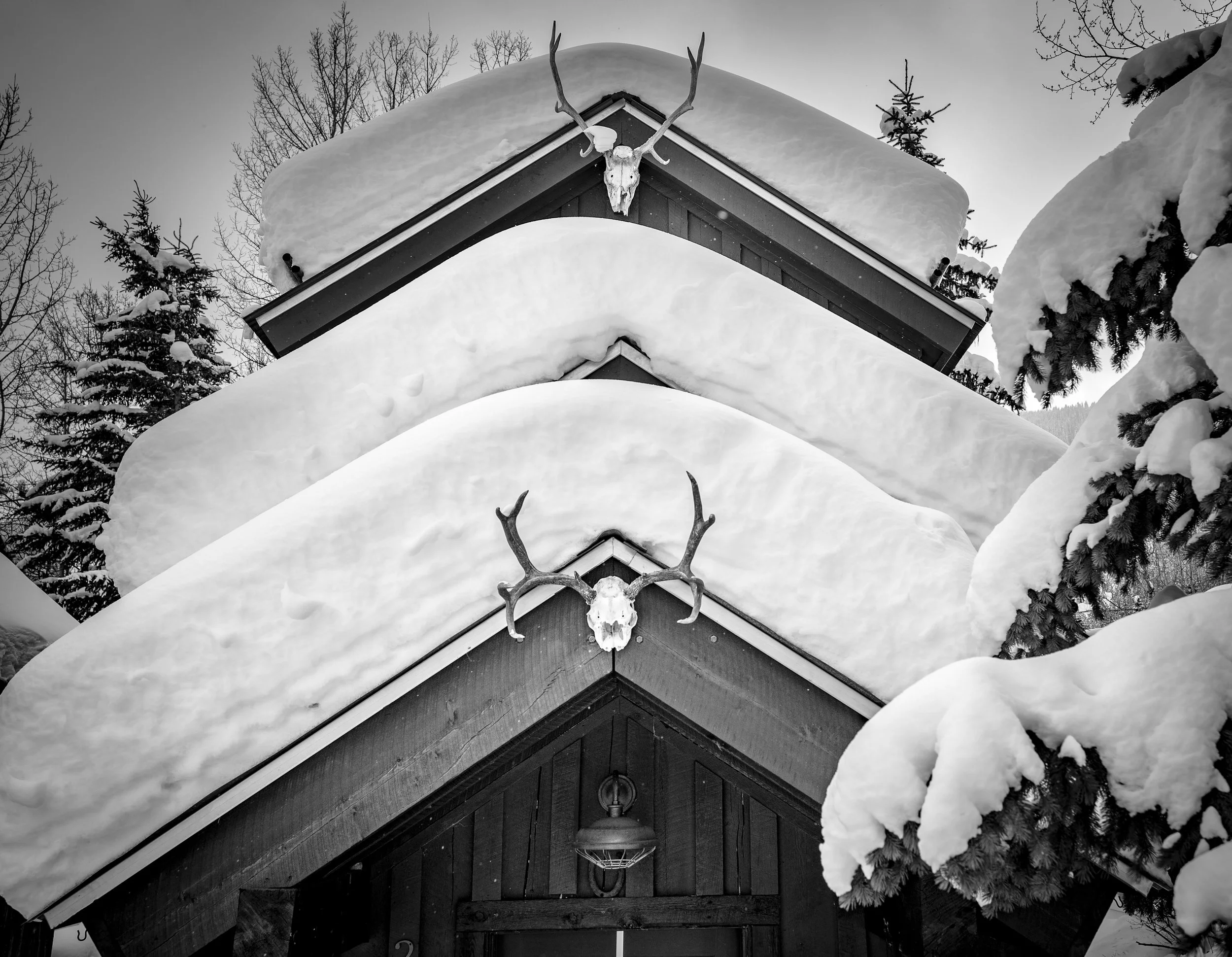 January 2023 Around Town Snow-10.jpg