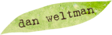 3-1-im-musician_leaf_image_left-1930.png
