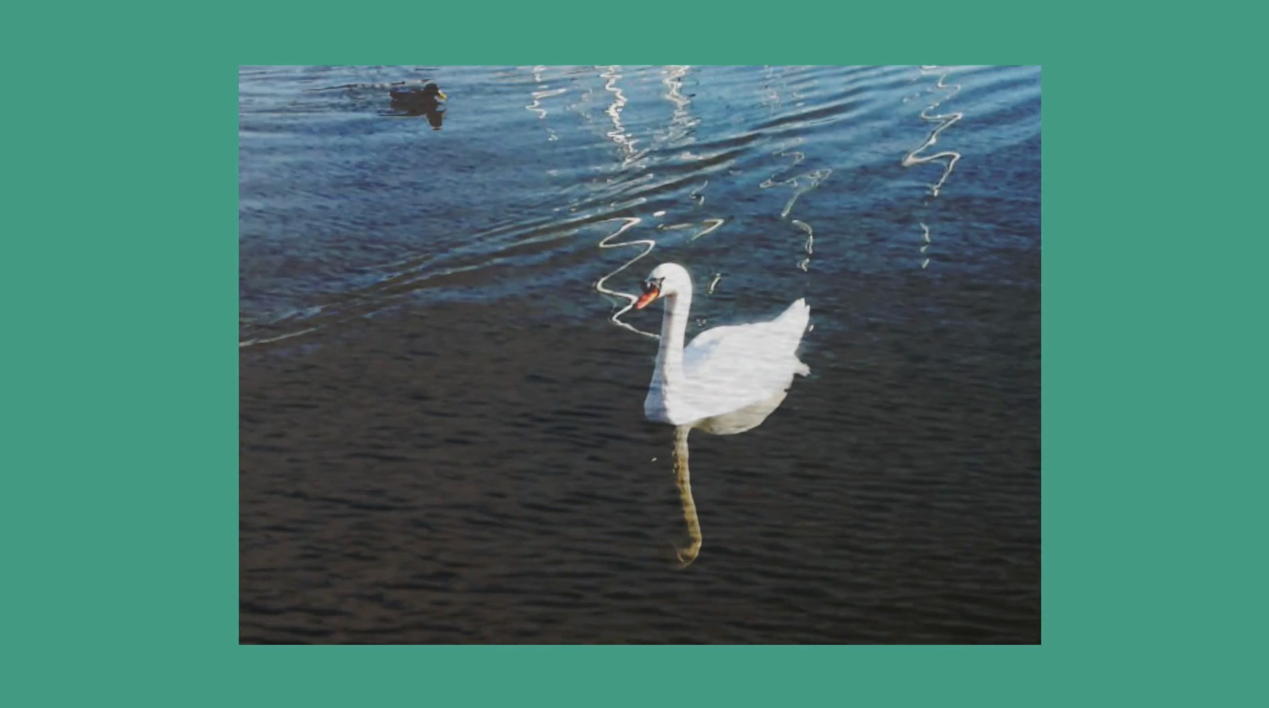 RedDeerSleeping-Flint-Christina-Rossetti.png