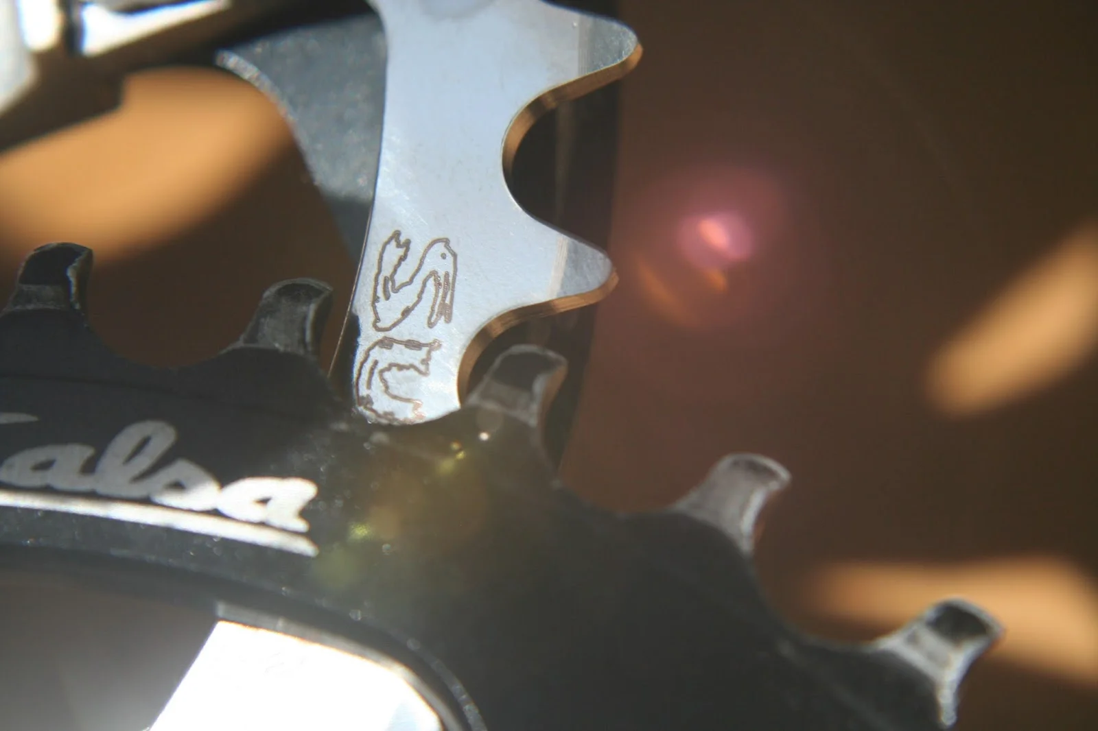 Chainring Where? No, Chainring Wear