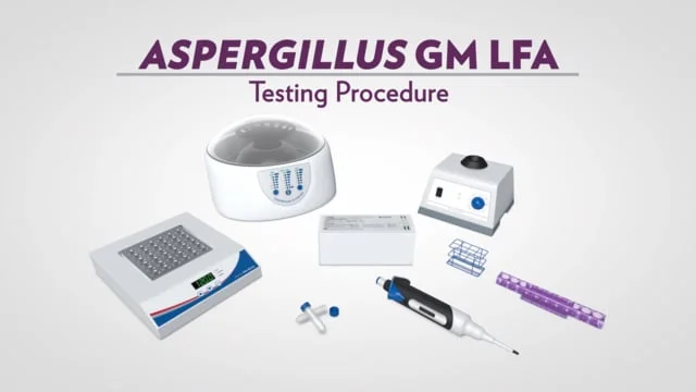 immy - procedure video