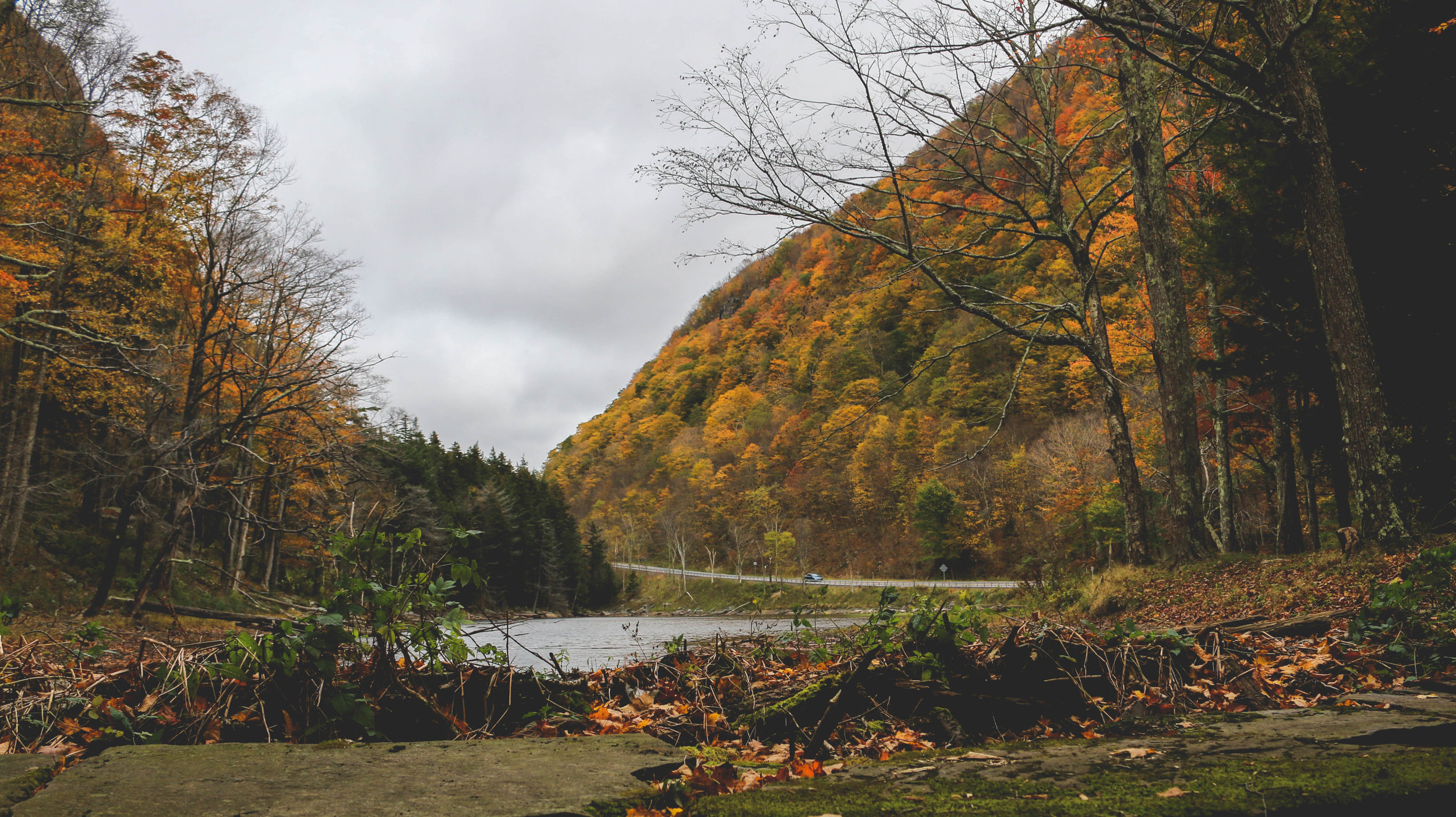 Upstate, New York
