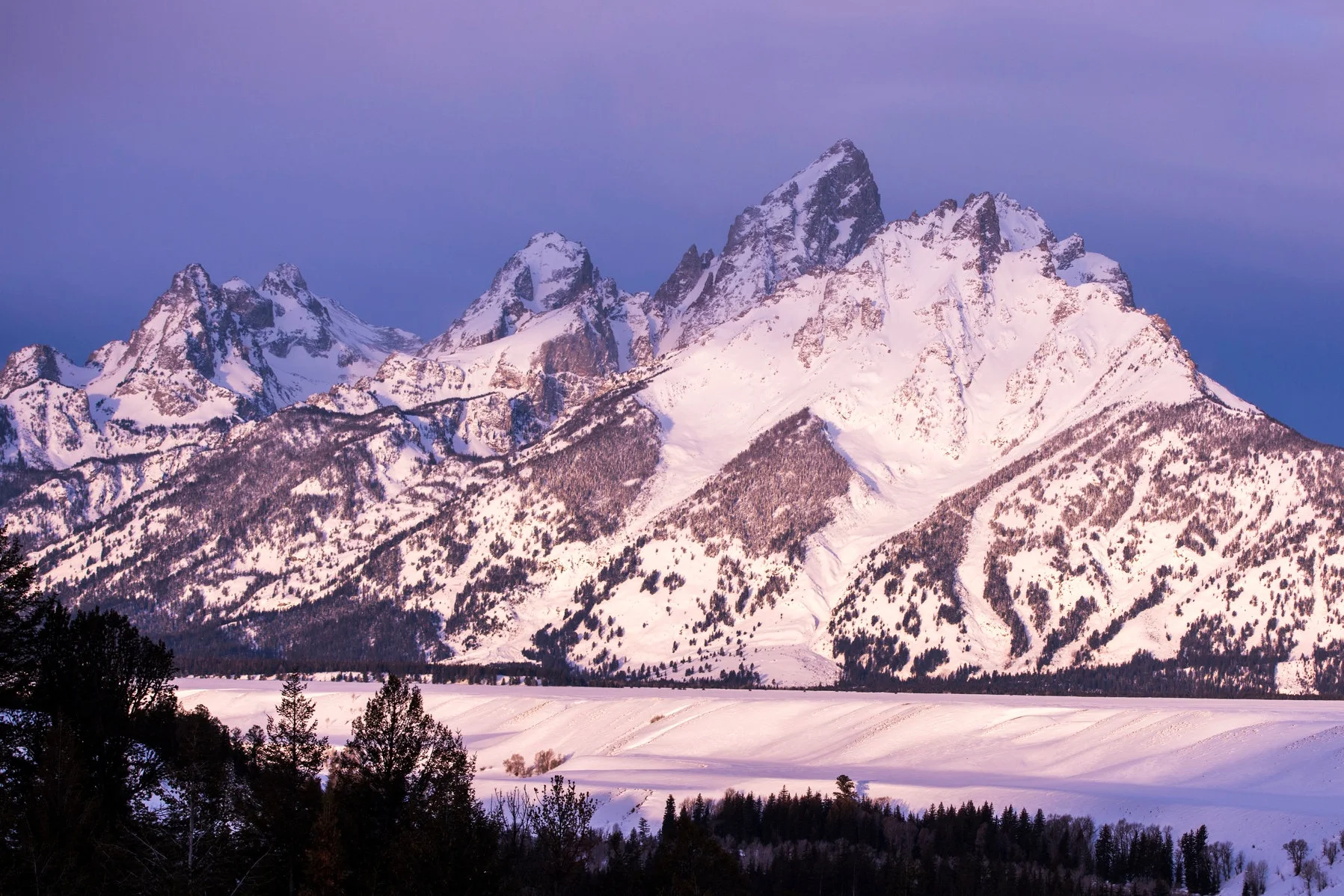 Mountain Modern - Jackson, Wyoming
