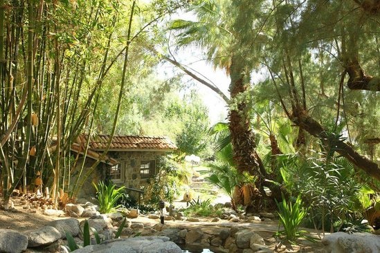 Two Bunch Palms - Desert Hot Springs, California