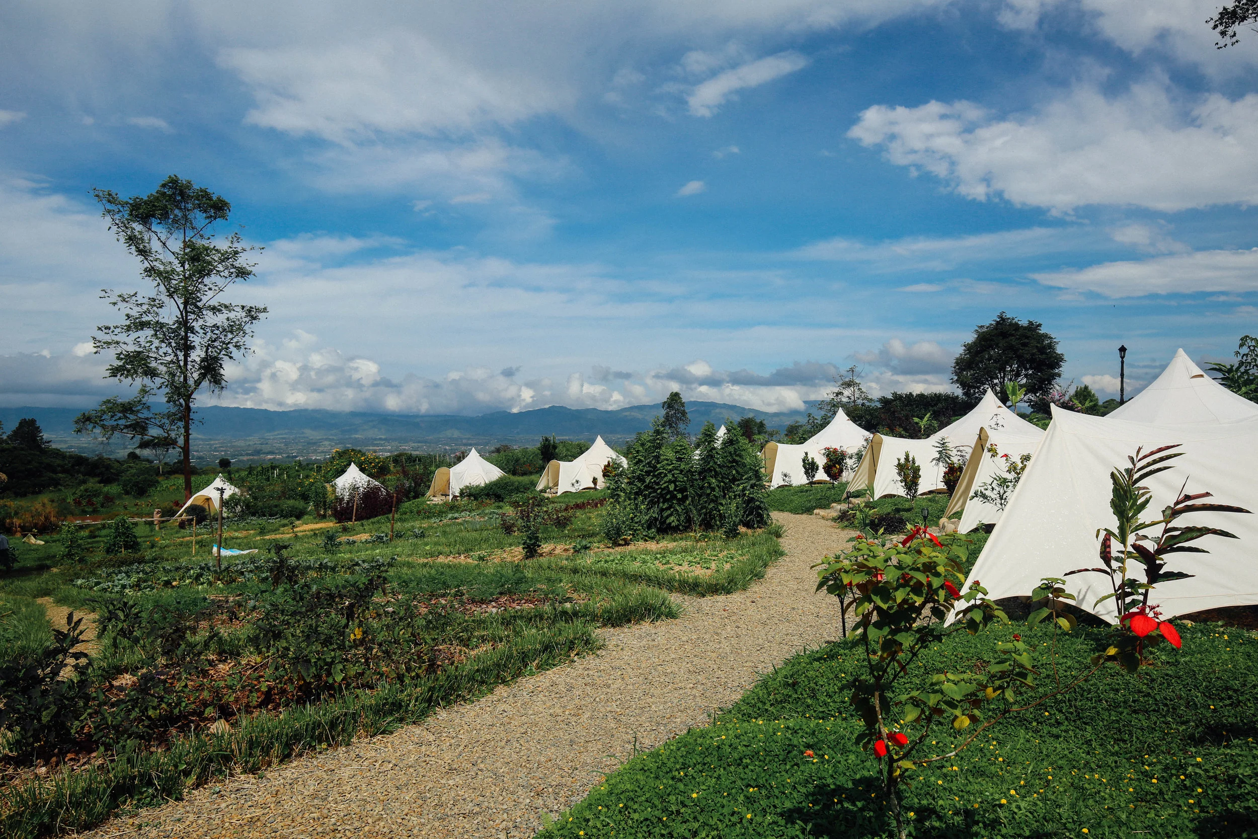 Kinkará - Mandala & Tents2.jpg
