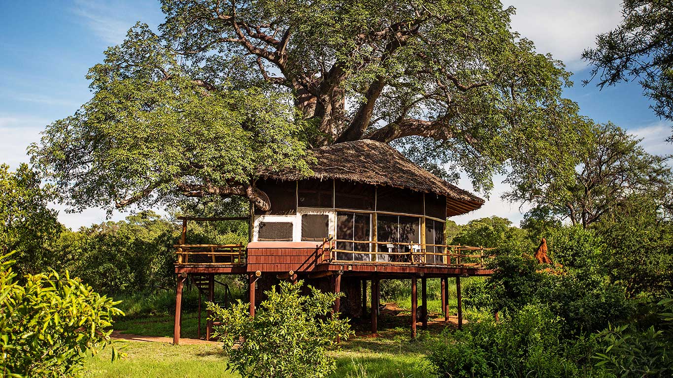 Elewana Tarangire Treetops - Tarangire National Park, Tanzania