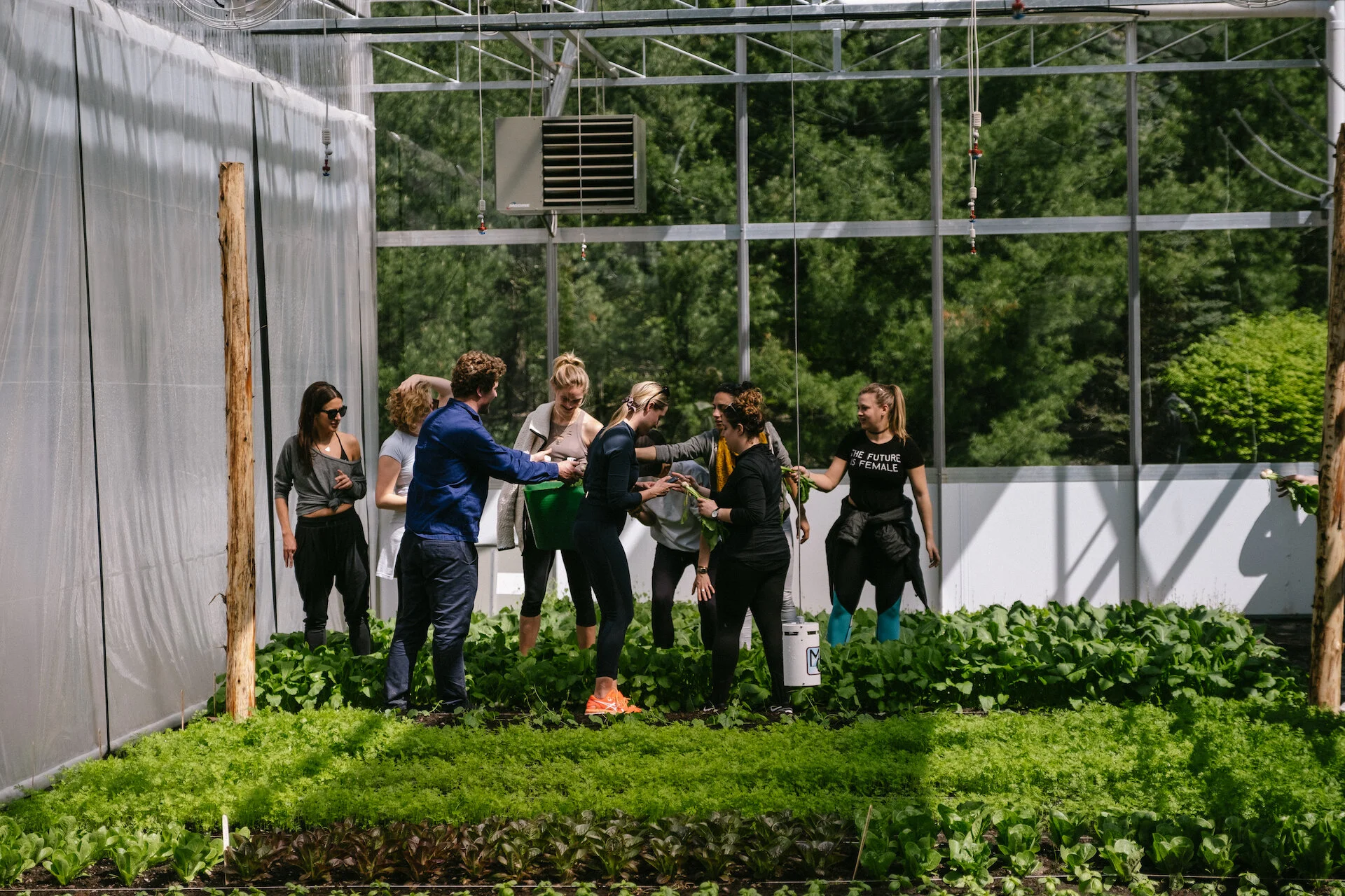 Lucky Find Hospitality