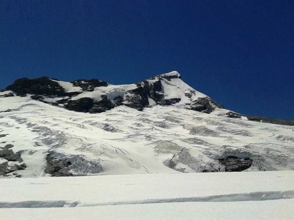 10351388_10200181762104242_2880645501164711483_n.jpg