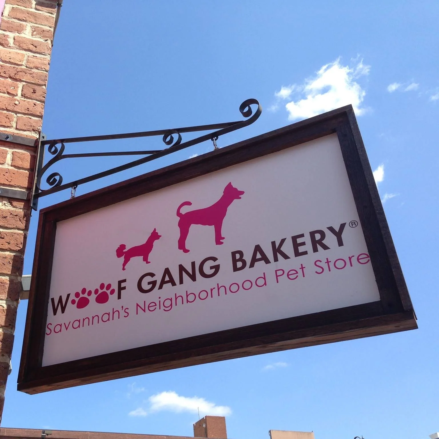 pet-store-savannah-ga.jpg