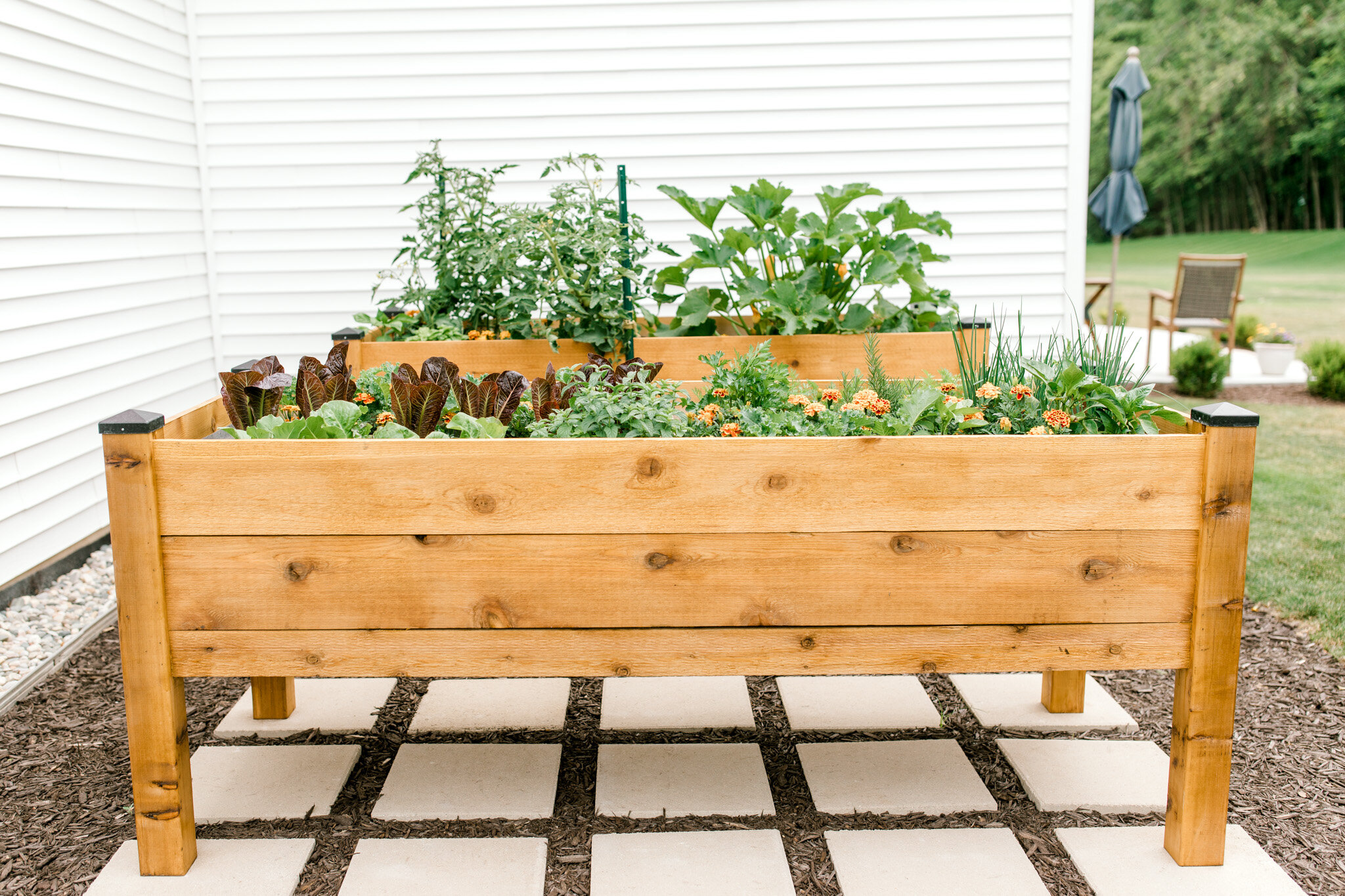 Raised organic veggie garden beds | Gardening in Michigan | Herb and Vegetable Garden