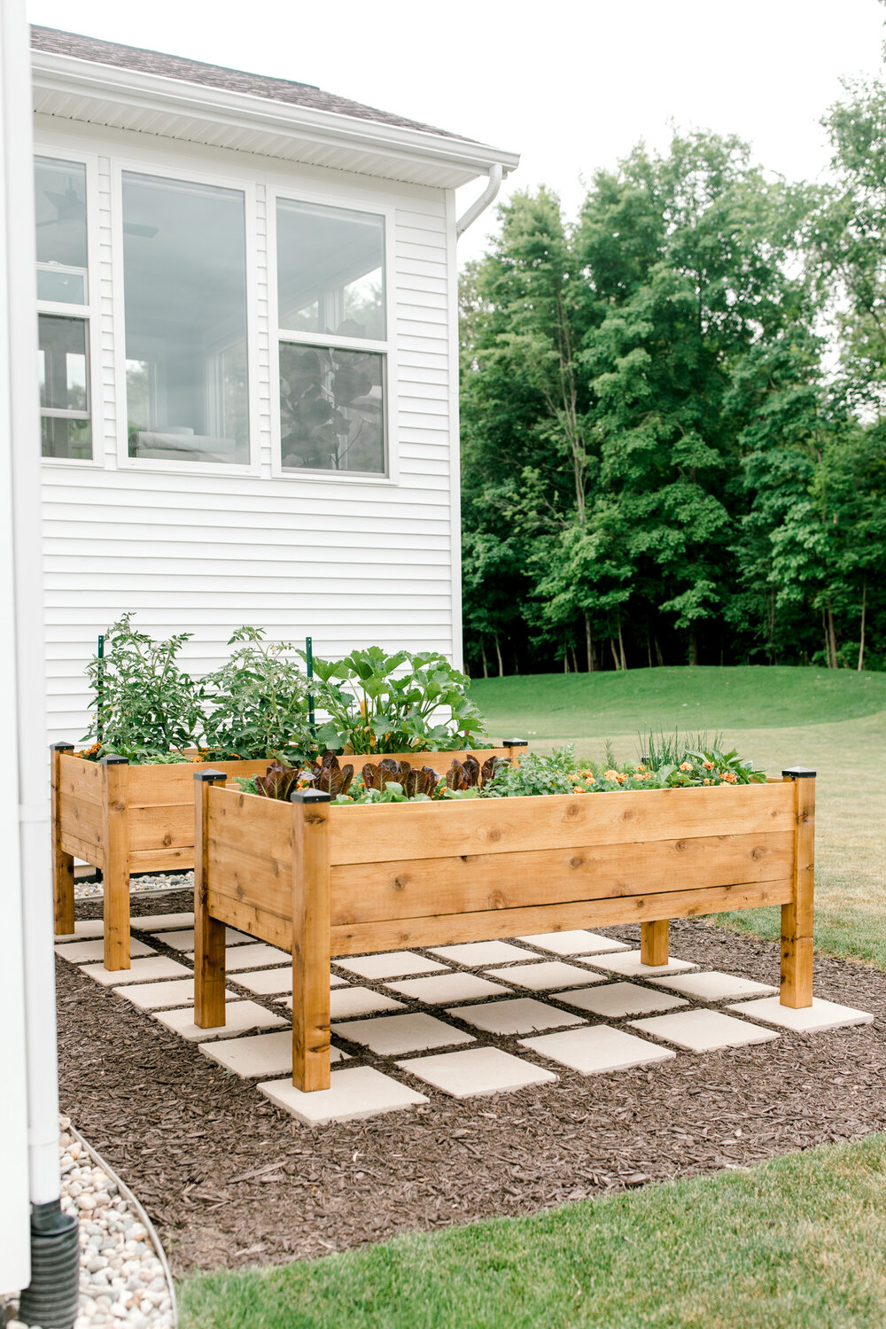 Raised organic veggie garden beds | Gardening in Michigan | Herb and Vegetable Garden