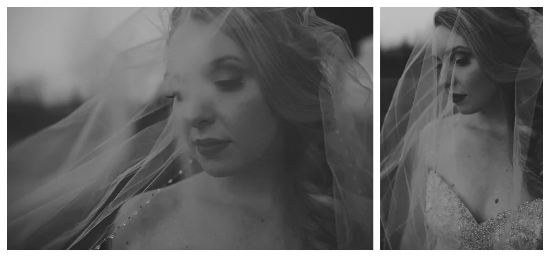 pitt meadows wedding photographer