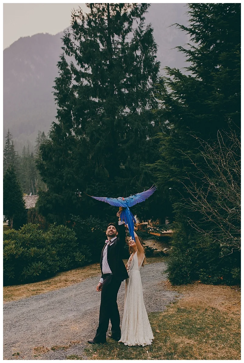 wedding photographer in langley
