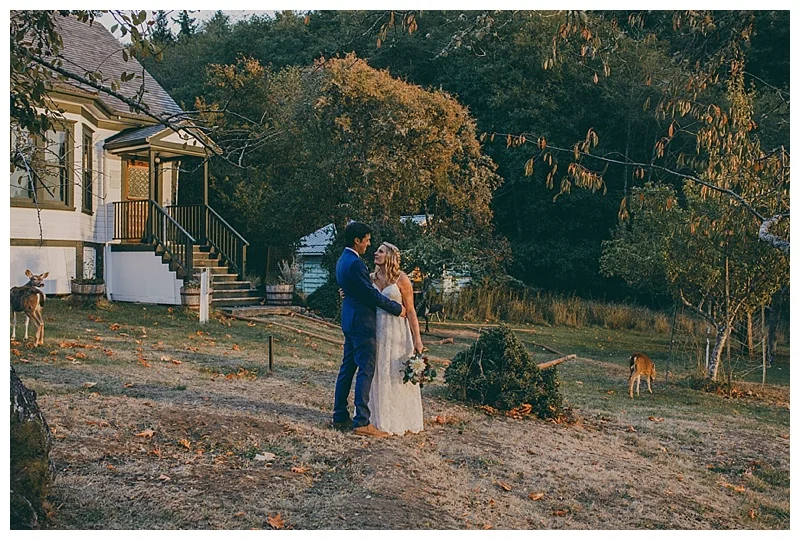 langley wedding photographer