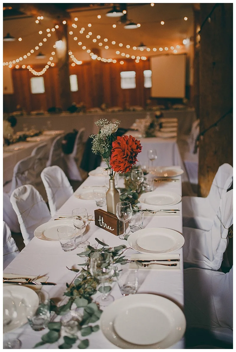 langley wedding photographer
