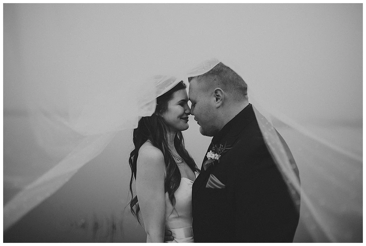 pitt meadows wedding photographer