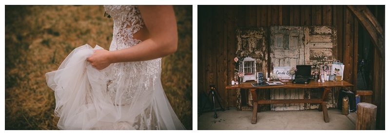 pitt meadows wedding photographer