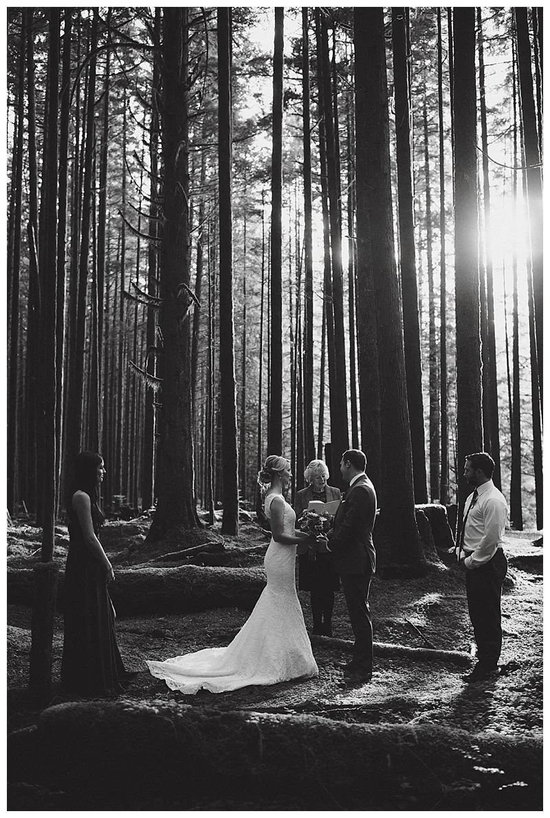 golden ears wedding