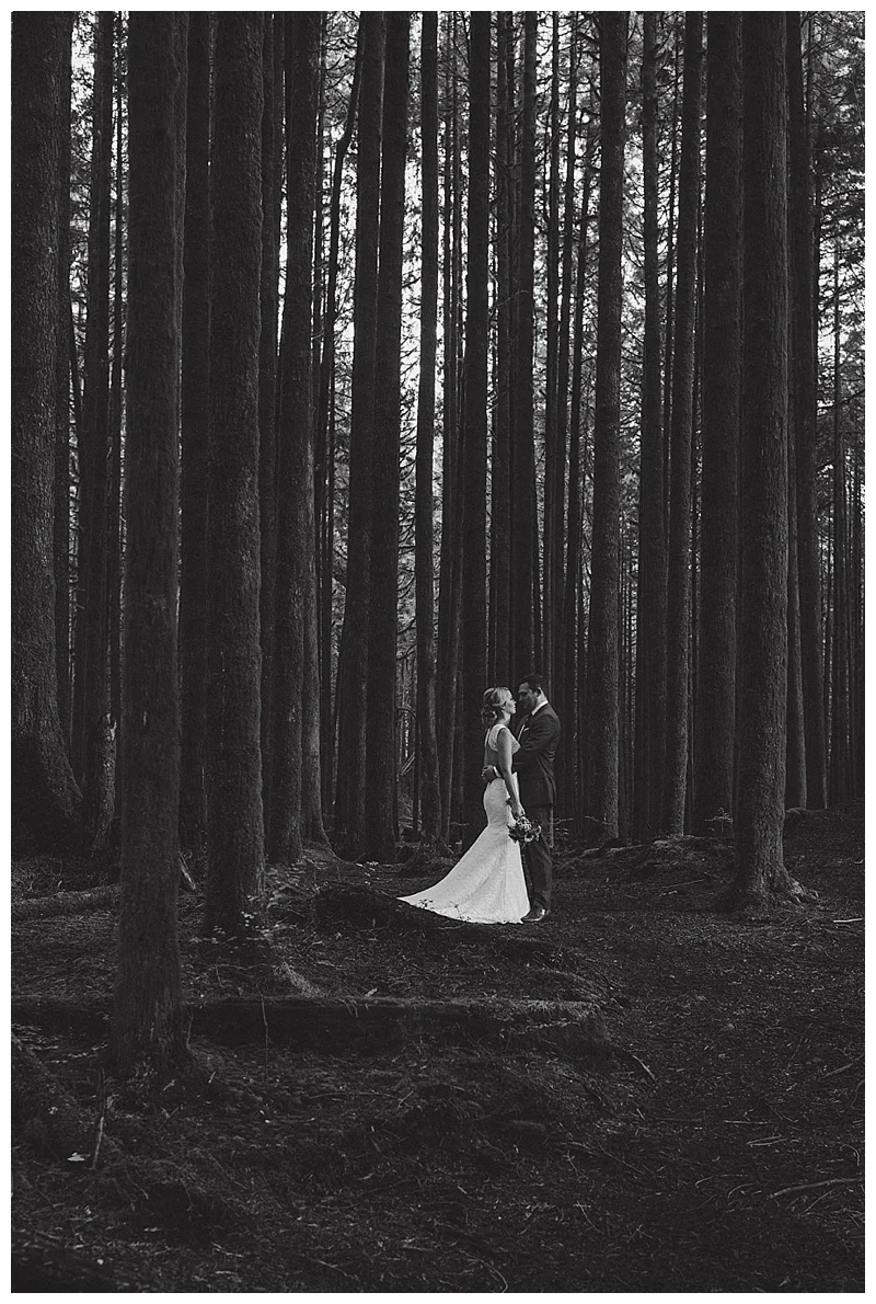 maple ridge wedding photographer