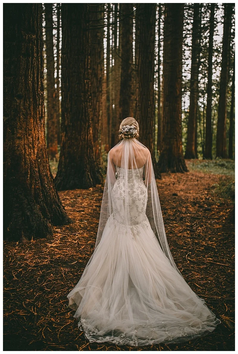 maple ridge wedding photographer