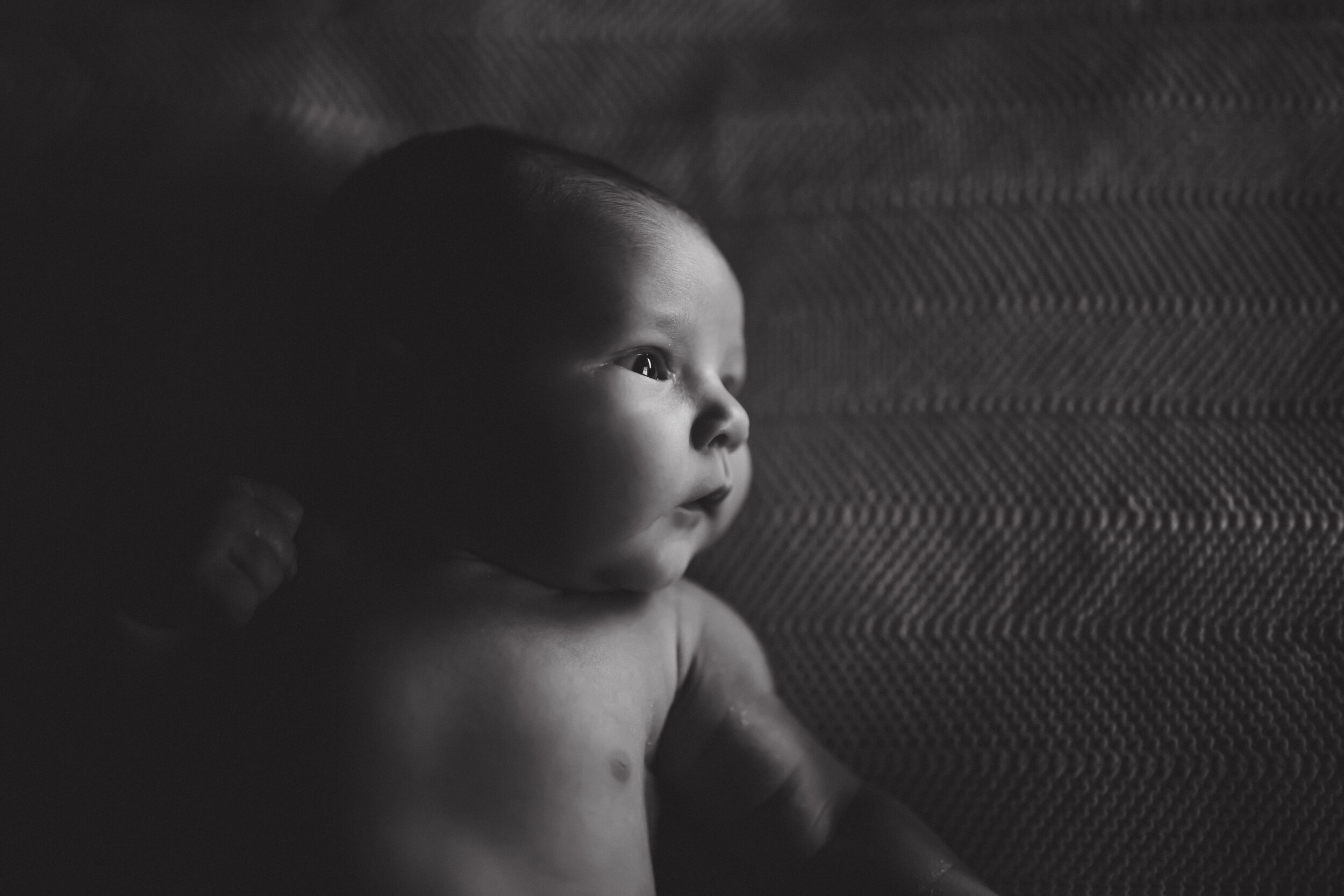 langley-baby-photographer11.jpg