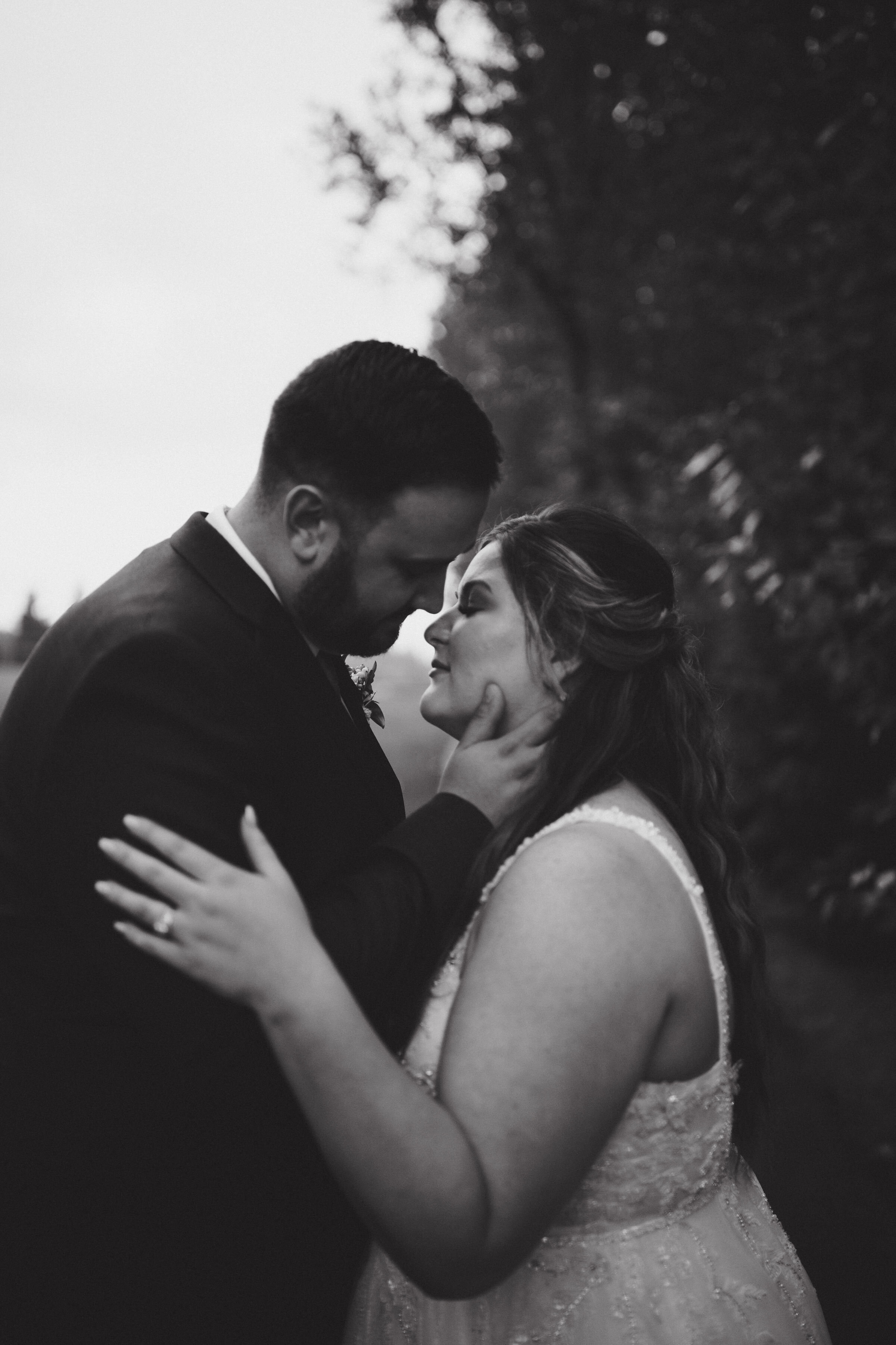 redwoods-wedding-photographer-langley104.jpg