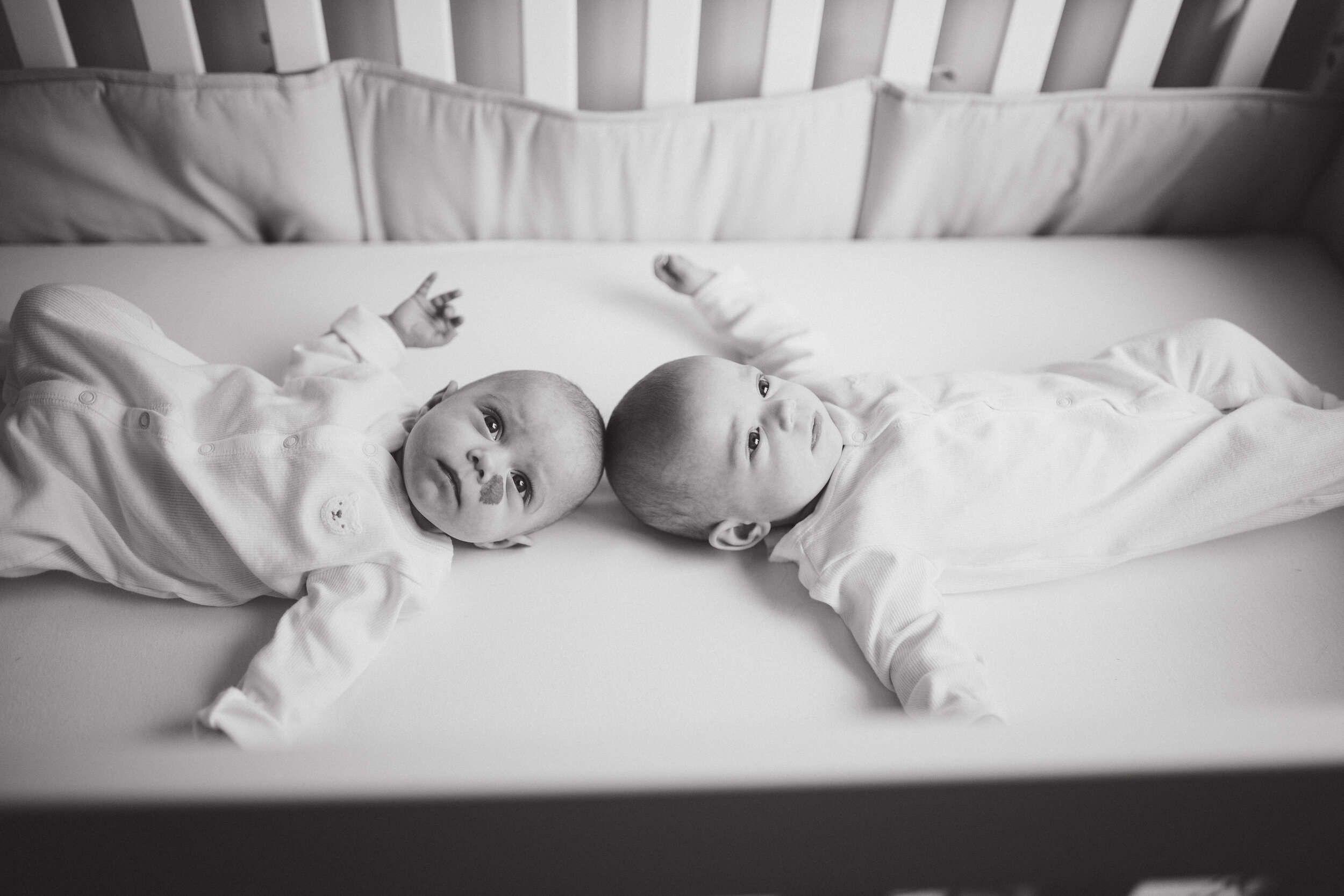 Langley newborn photographer