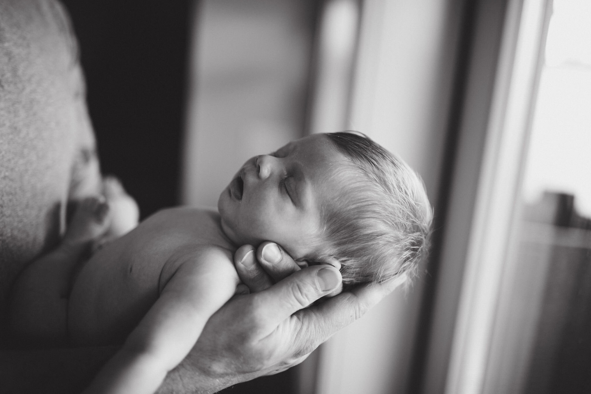 maple ridge newborn photographer