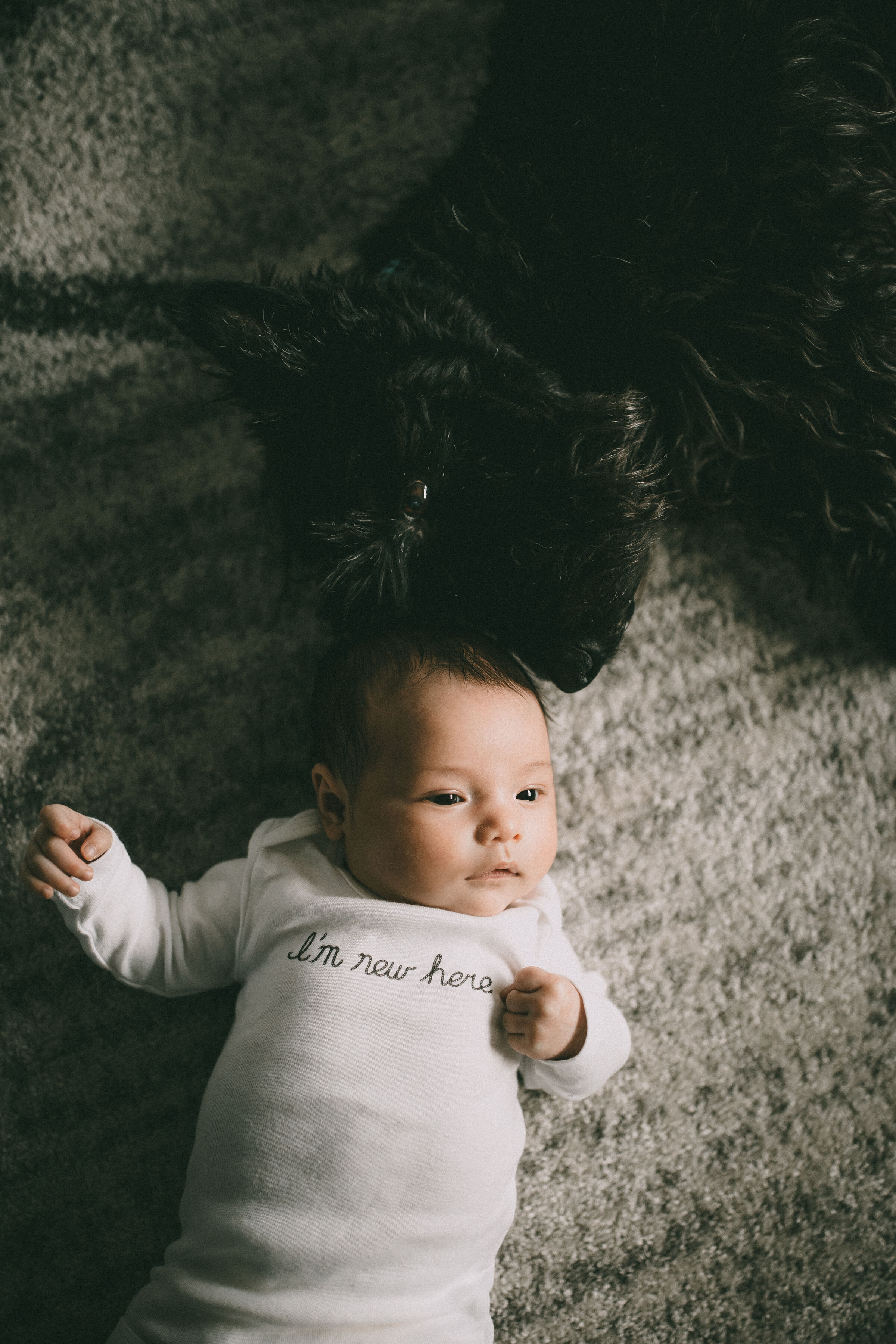 langley newborn photographer