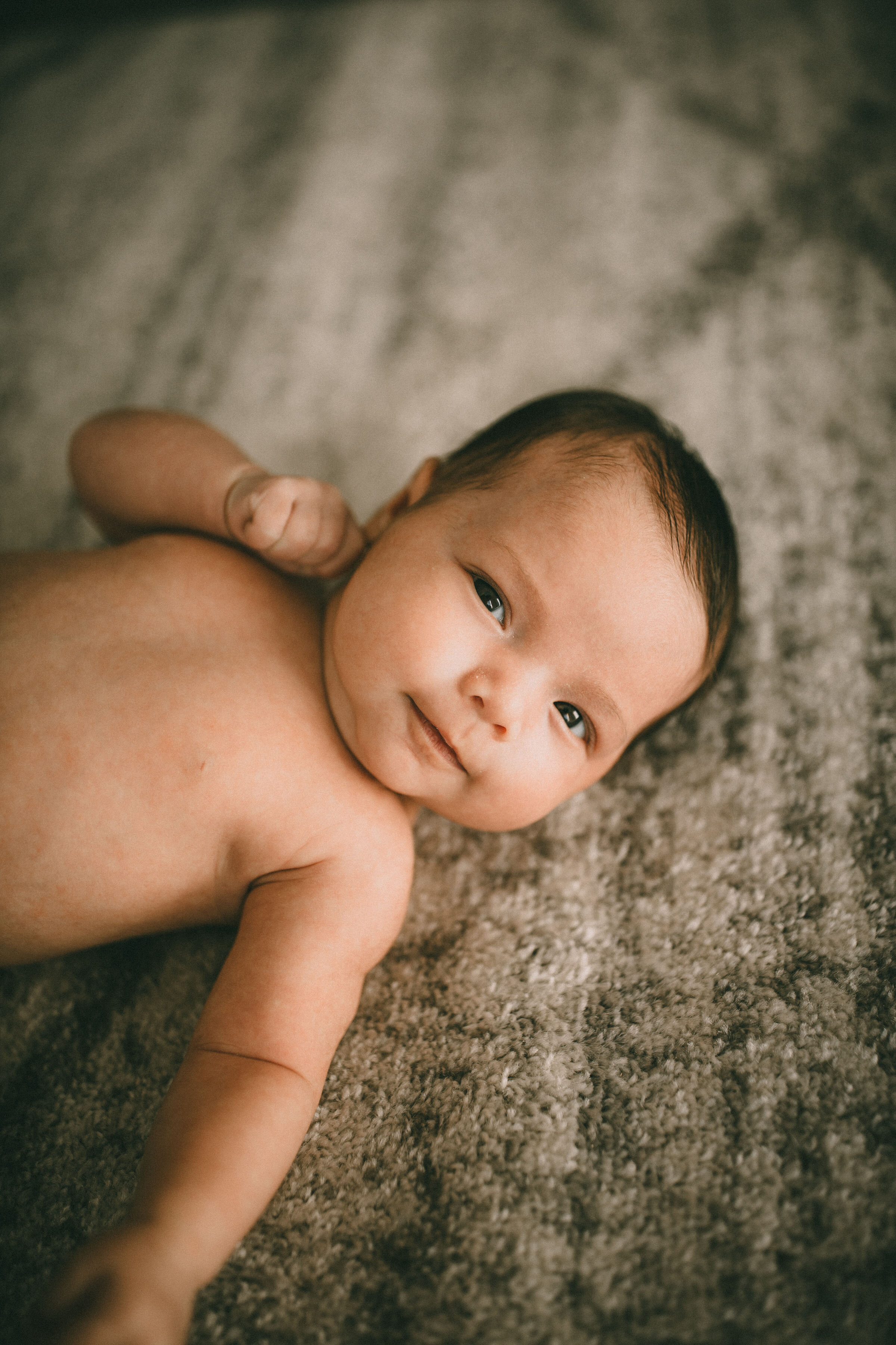 langley newborn photographer