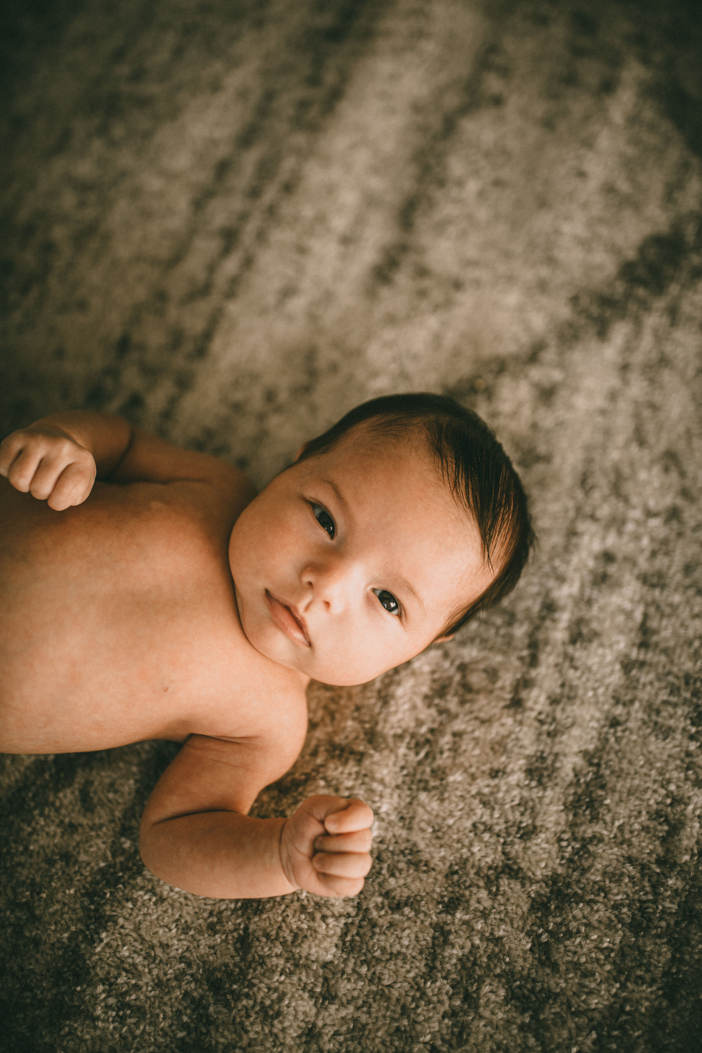 langley newborn photographer