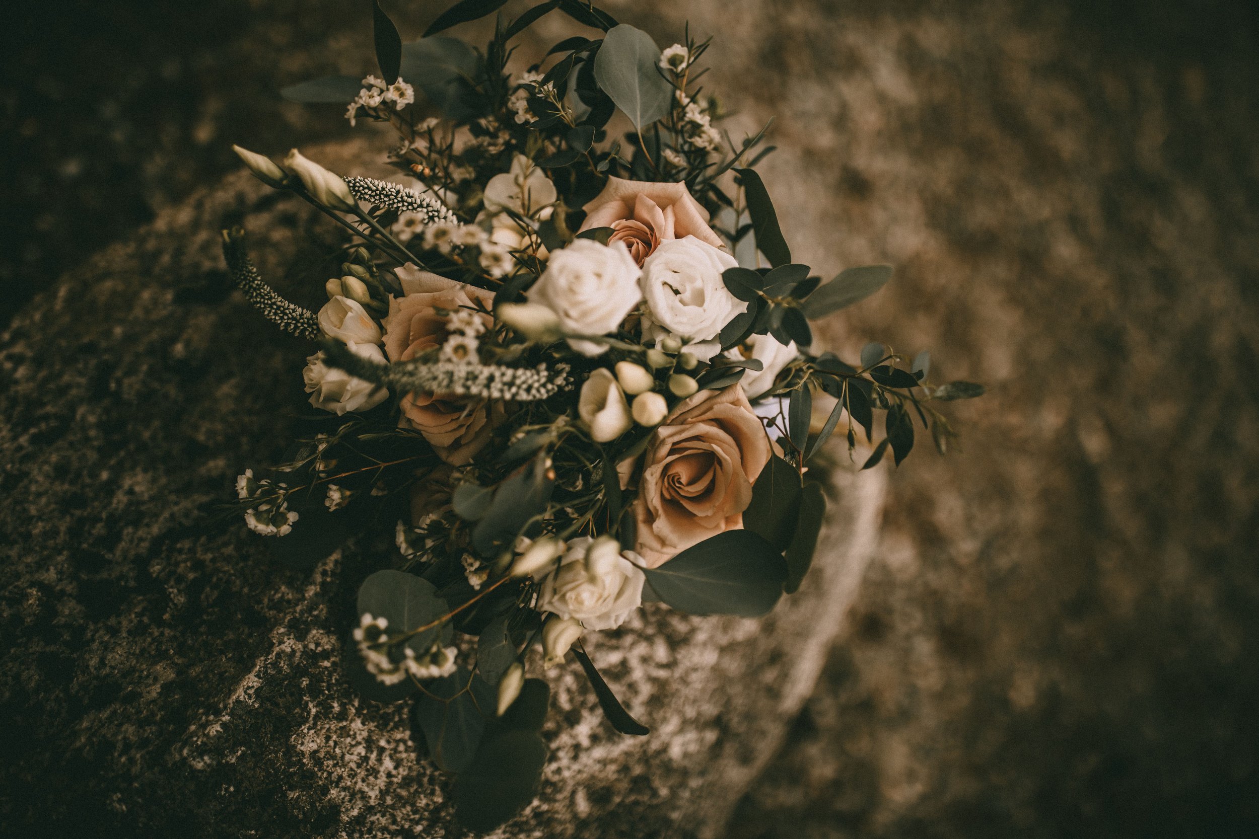 alouette lake elopement