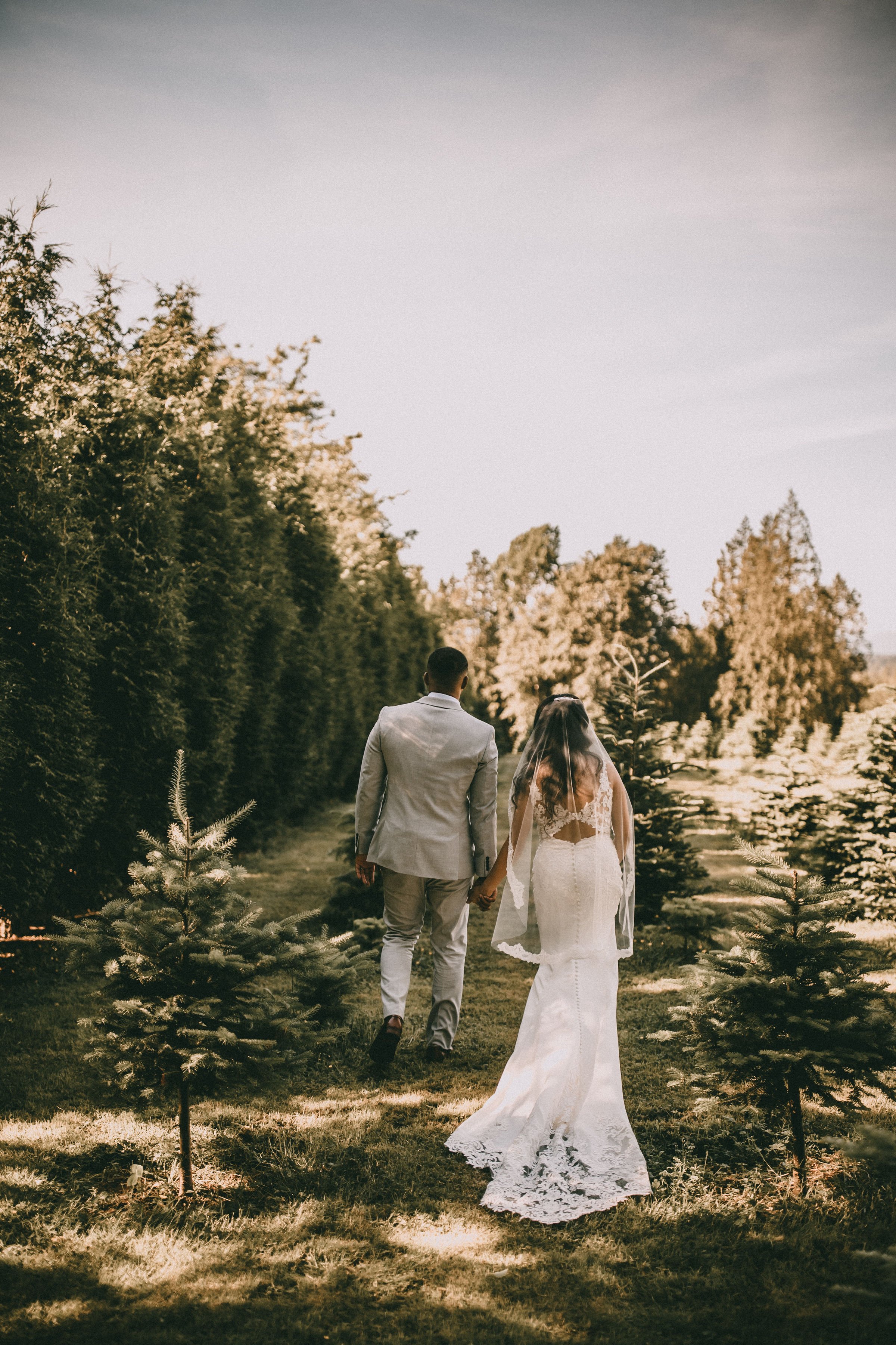 red-truck-tree-farm-wedding-surrey28.jpeg