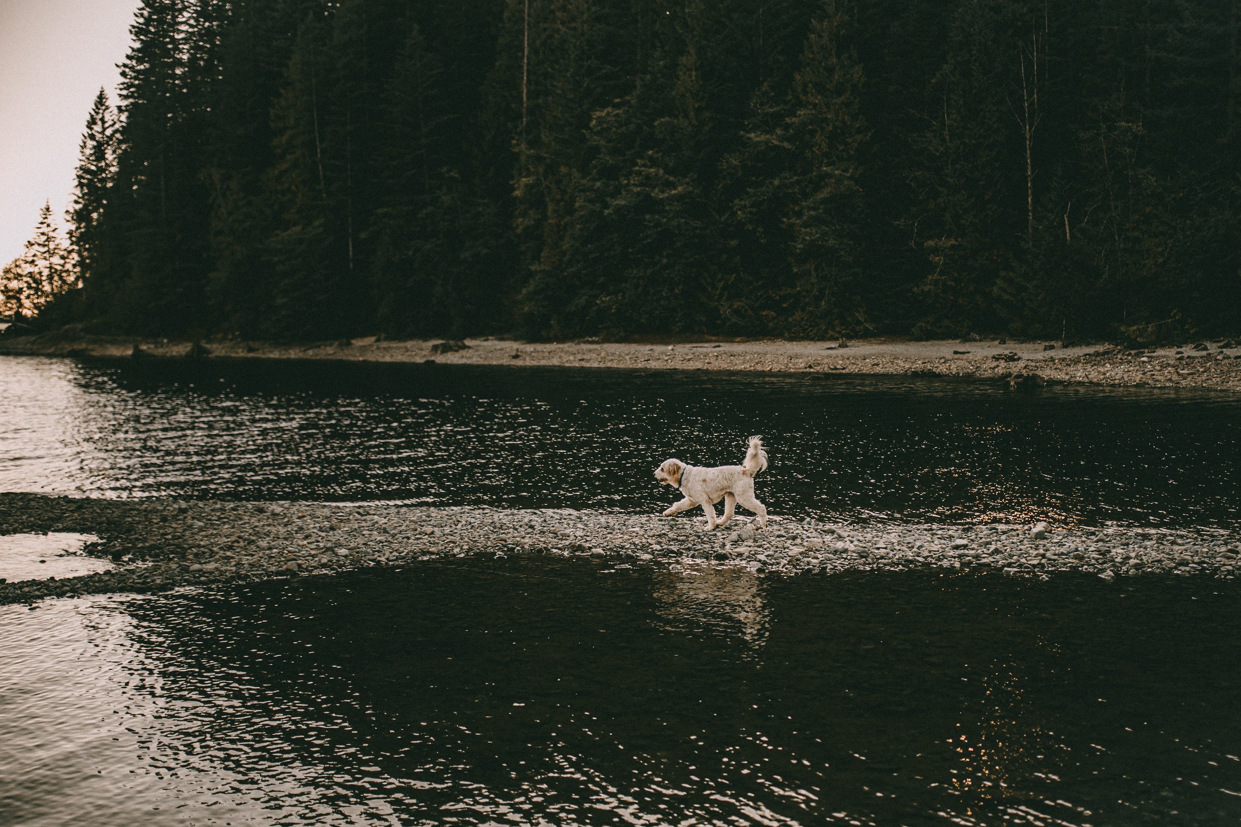 vancouver-engagement-photographer-3-2.jpg