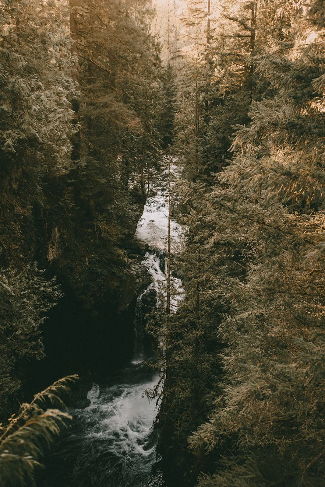 lynn canyon north vancouver