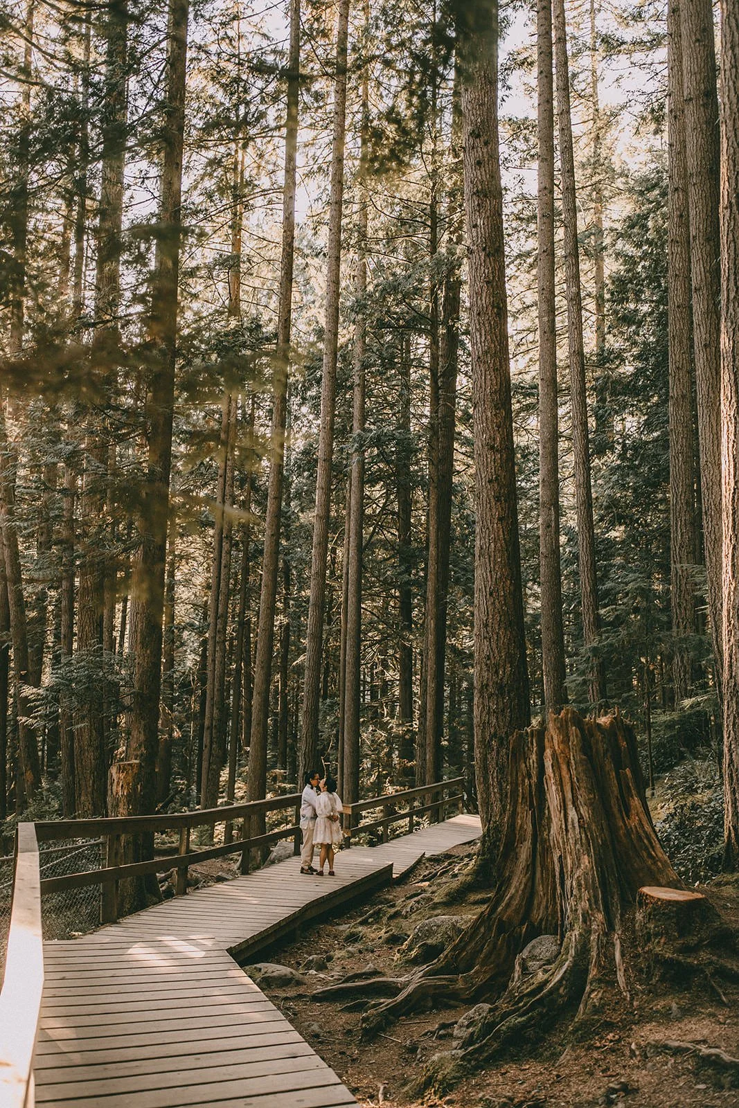 lynn canyon hike