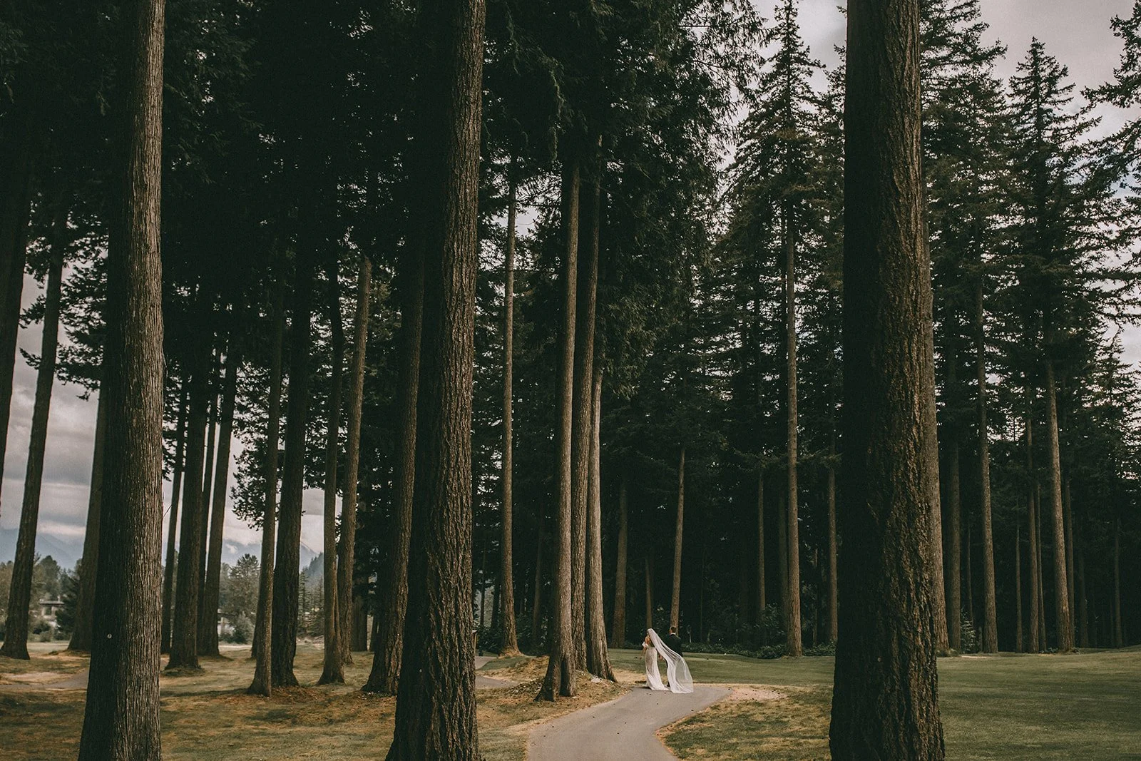 sandpiper golf course wedding