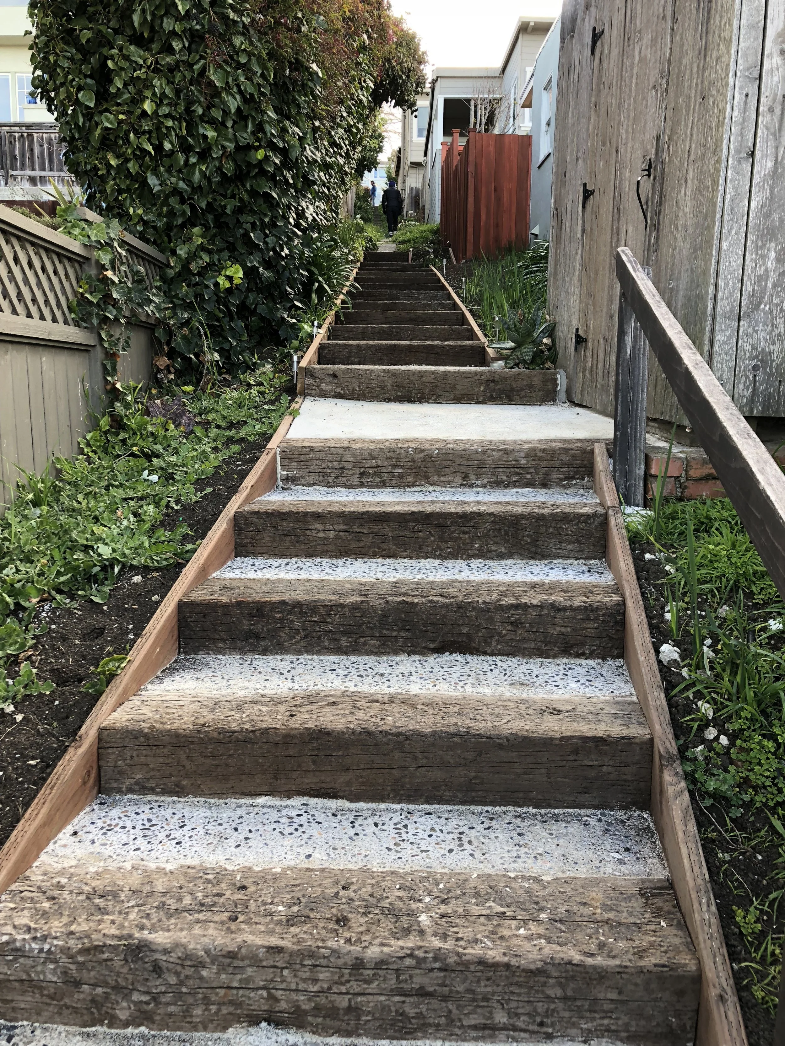 Upper Beloit Path - IMG_7682.JPG