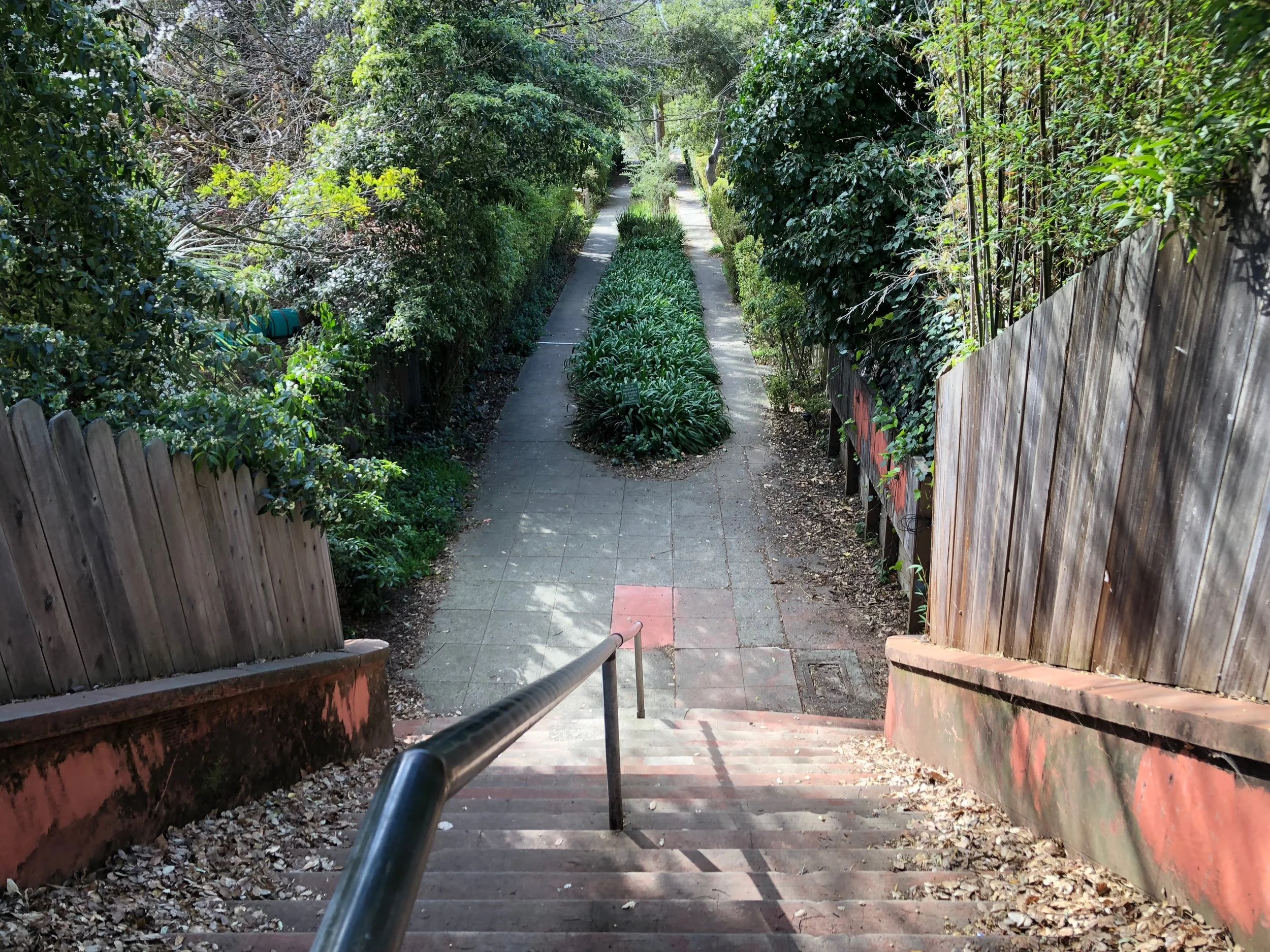 Ardmore Path - IMG_7546.jpeg