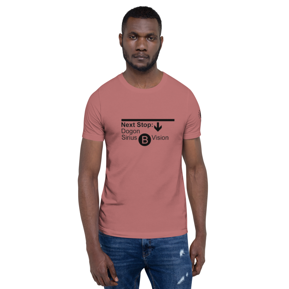 unisex-staple-t-shirt-mauve-front-61f38223b421a.png