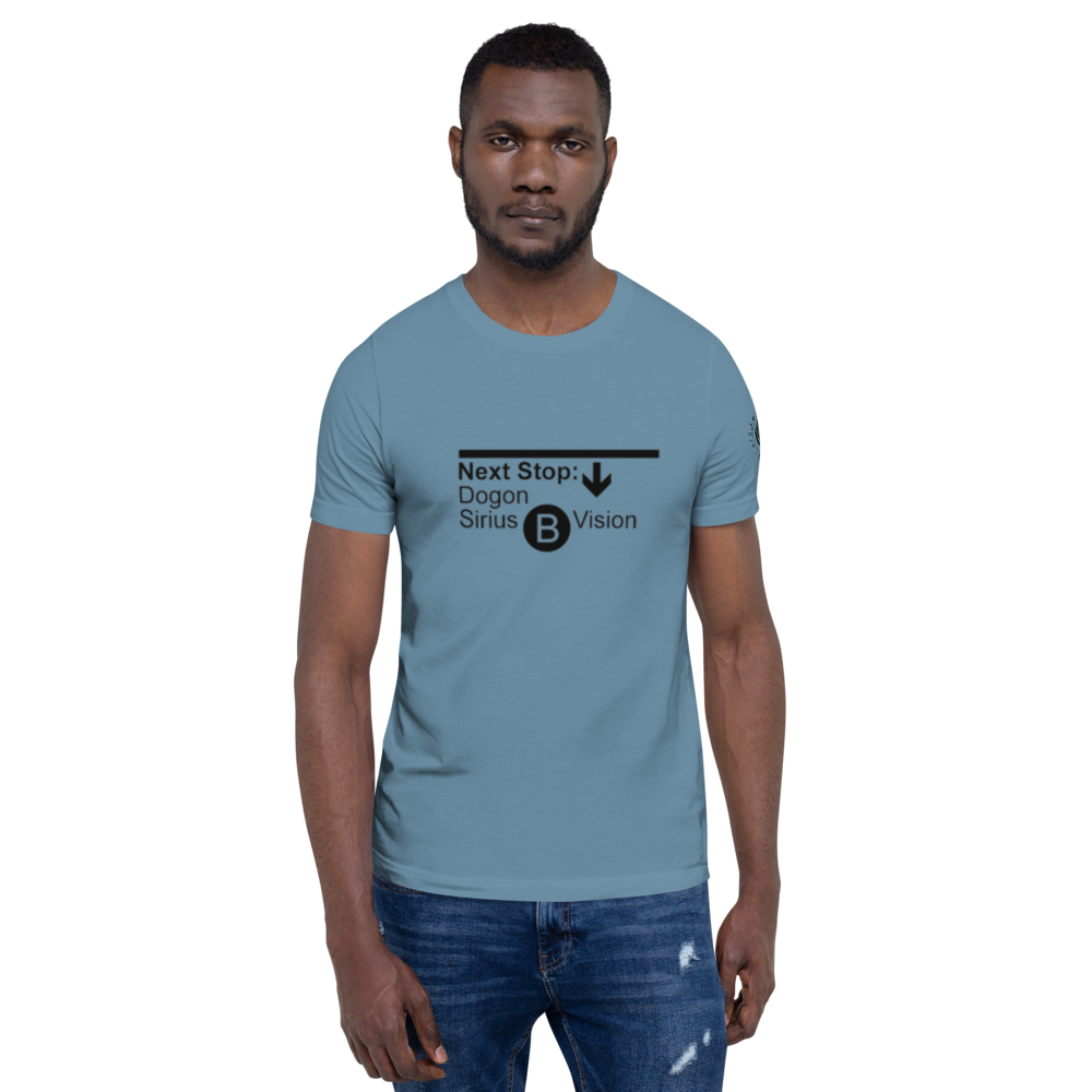 unisex-staple-t-shirt-steel-blue-front-61f38223b6647.png
