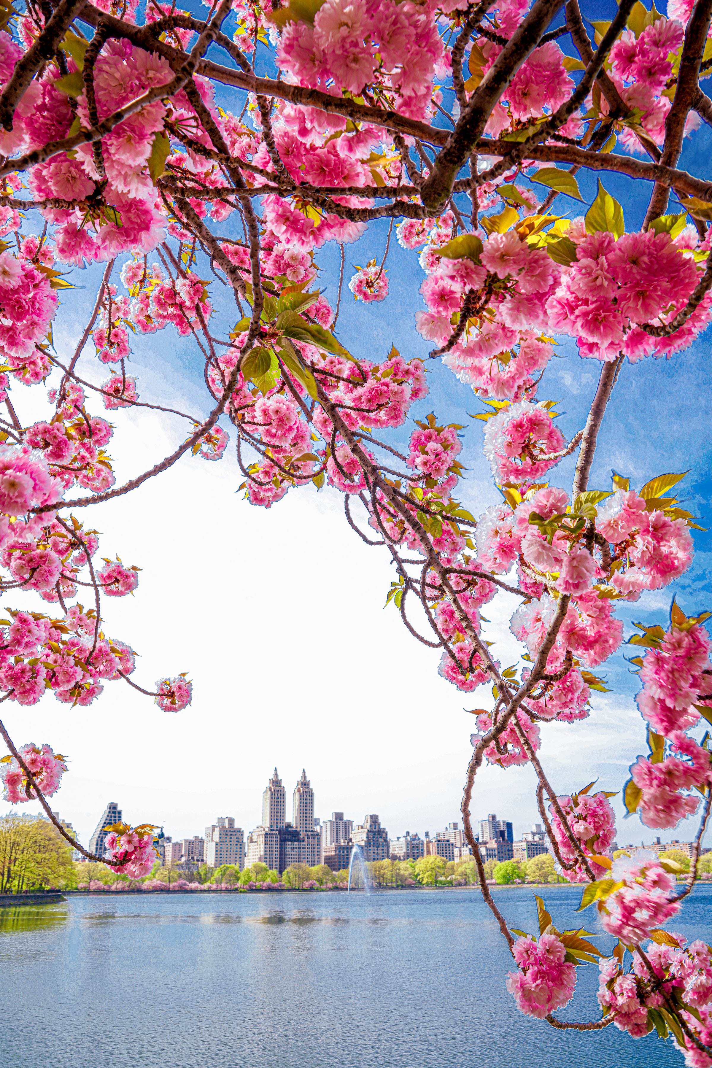April in New York, 3 Honorable Mentions