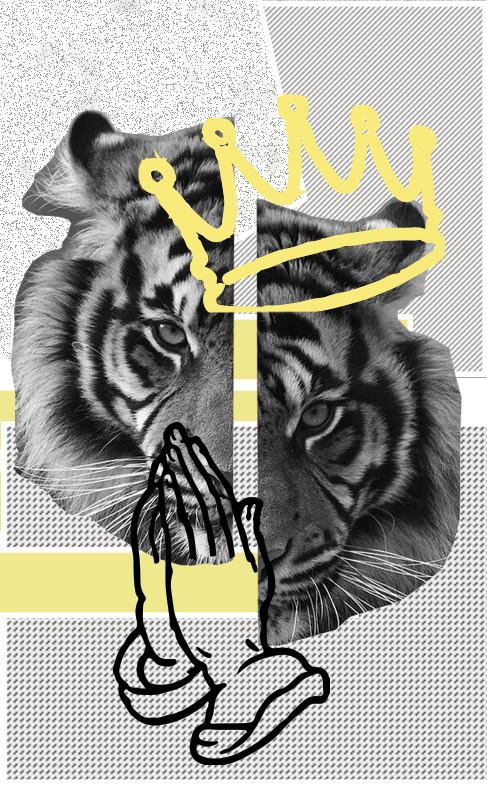 tiger_collage.png
